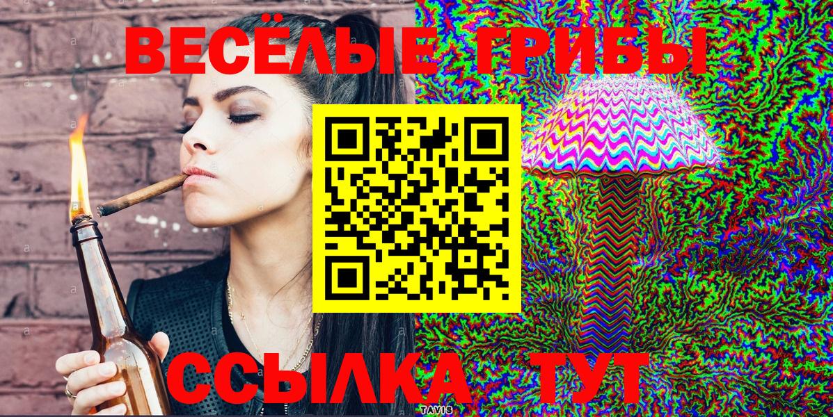 Псилоцибиновые грибы Psilocybe Реутов